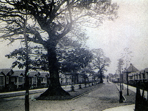 early view of central avenue